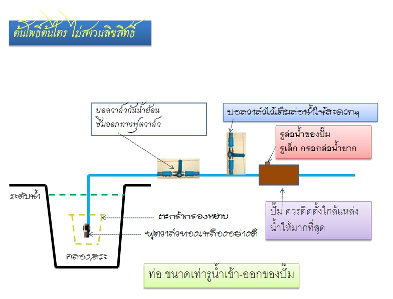 รับทำเว็บ  webUB.com
