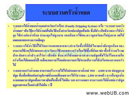 รับทำเว็บ  webUB.com