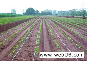 รับทำเว็บ  webUB.com
